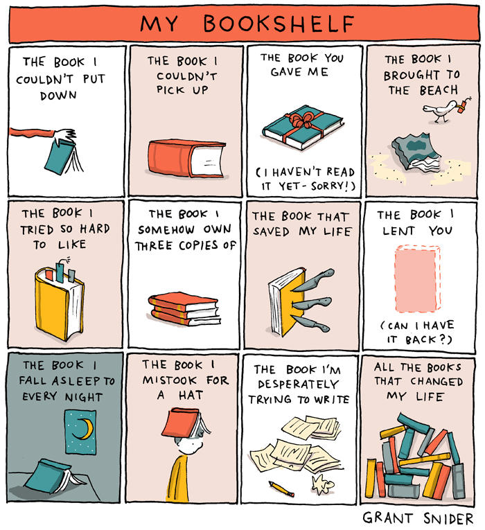 grant snider i will judge you by your bookshelf