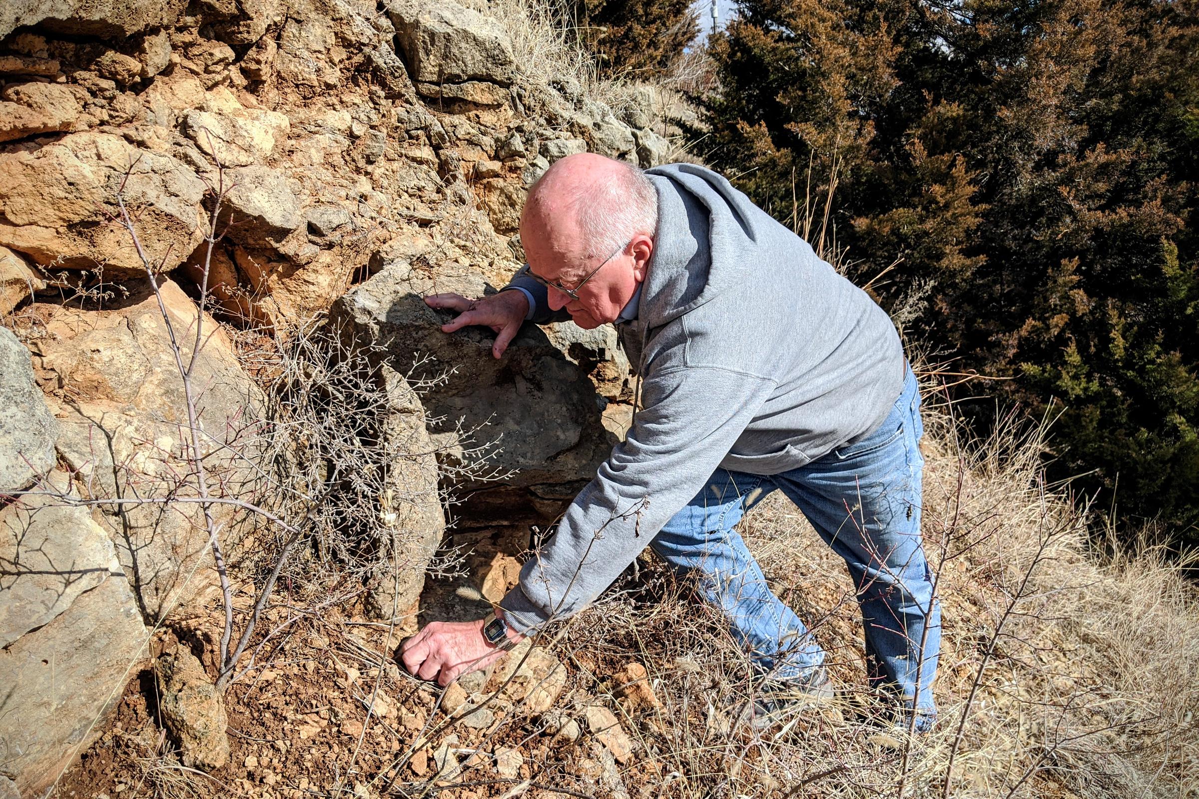 There Are Millions Of Fossils In Kansas. Here's How You Can Find One KMUW