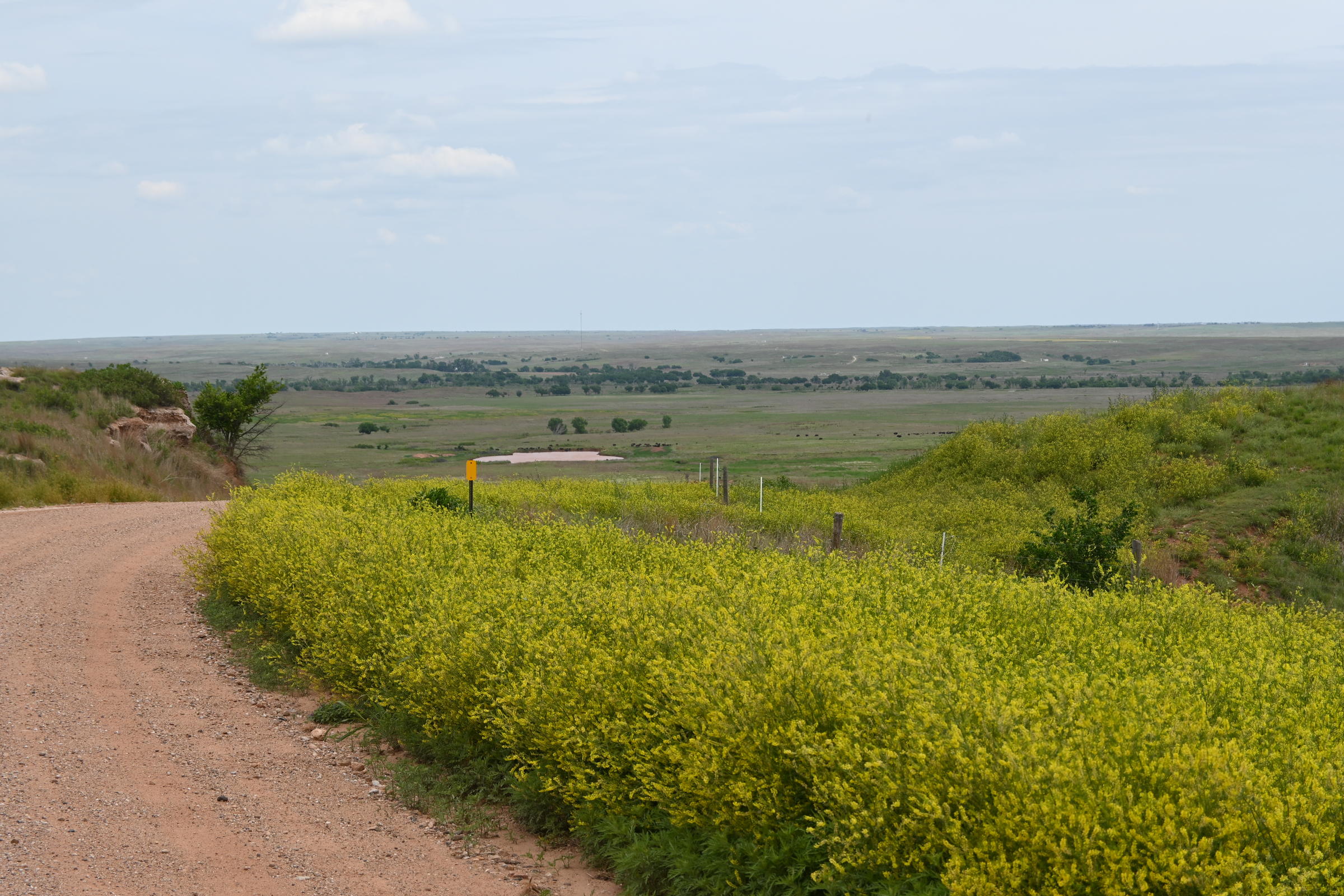 Photos Why The Gypsum Hills Are The 'Best Kept Secret' In Kansas KMUW