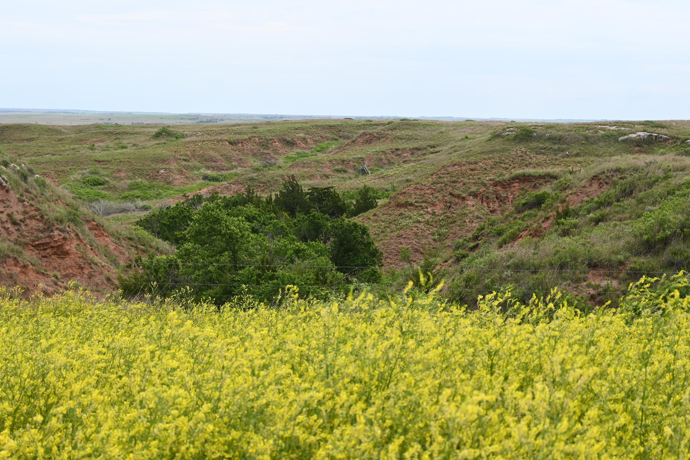 Photos Why The Gypsum Hills Are The 'Best Kept Secret' In Kansas KMUW