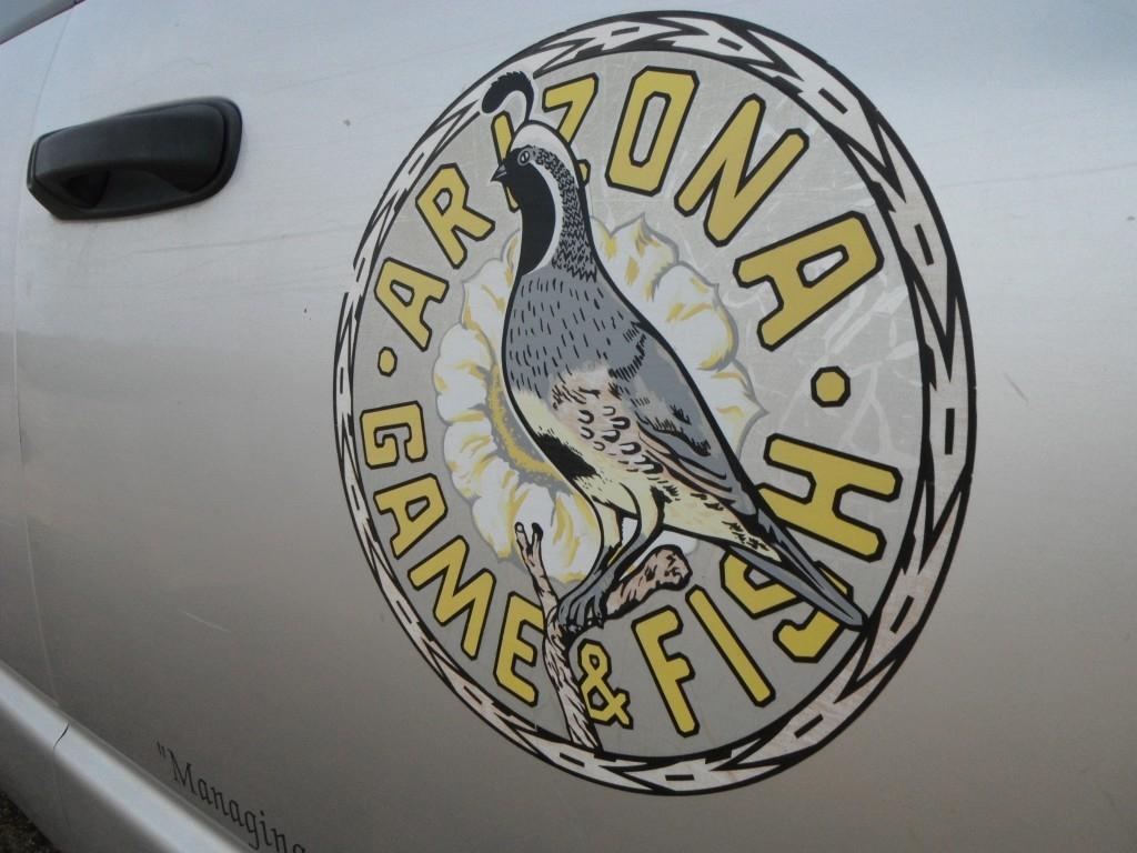Arizona Wildlife Officials Issue Nearly $75k In Civil Fines | KNAU