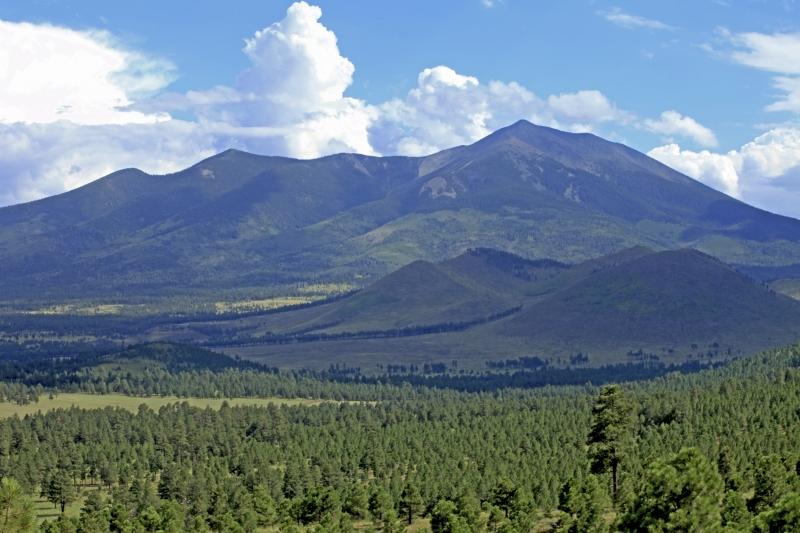 Coconino National Forest Areas Will Temporarily Close Due to Wildfire