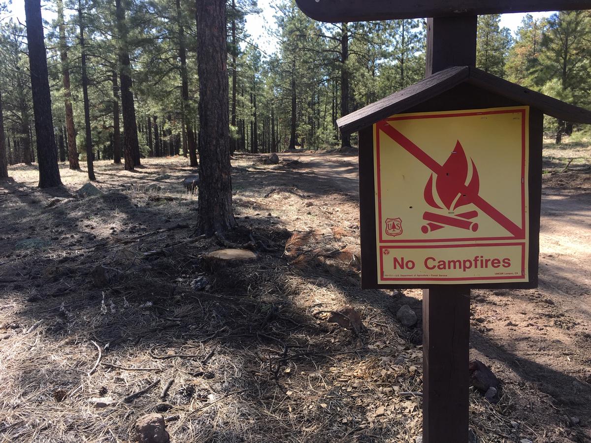 Coconino And Kaibab National Forests Return To Fire Restrictions KNAU