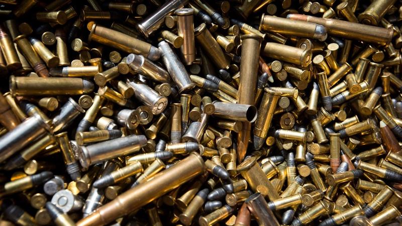 Federal Court Revives Lawsuit Over Lead Ammunition, Condors | KNAU ...