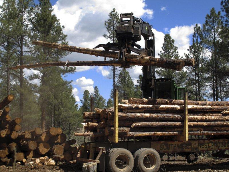 New Arizona Sawmill To Boost Forest Restoration Efforts KNAU Arizona