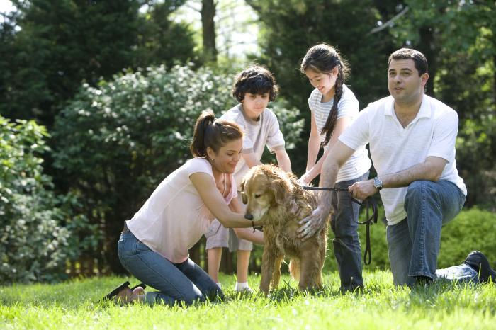 Flagstaff Scientists Scoop Dog Poop To Track Infectious Disease