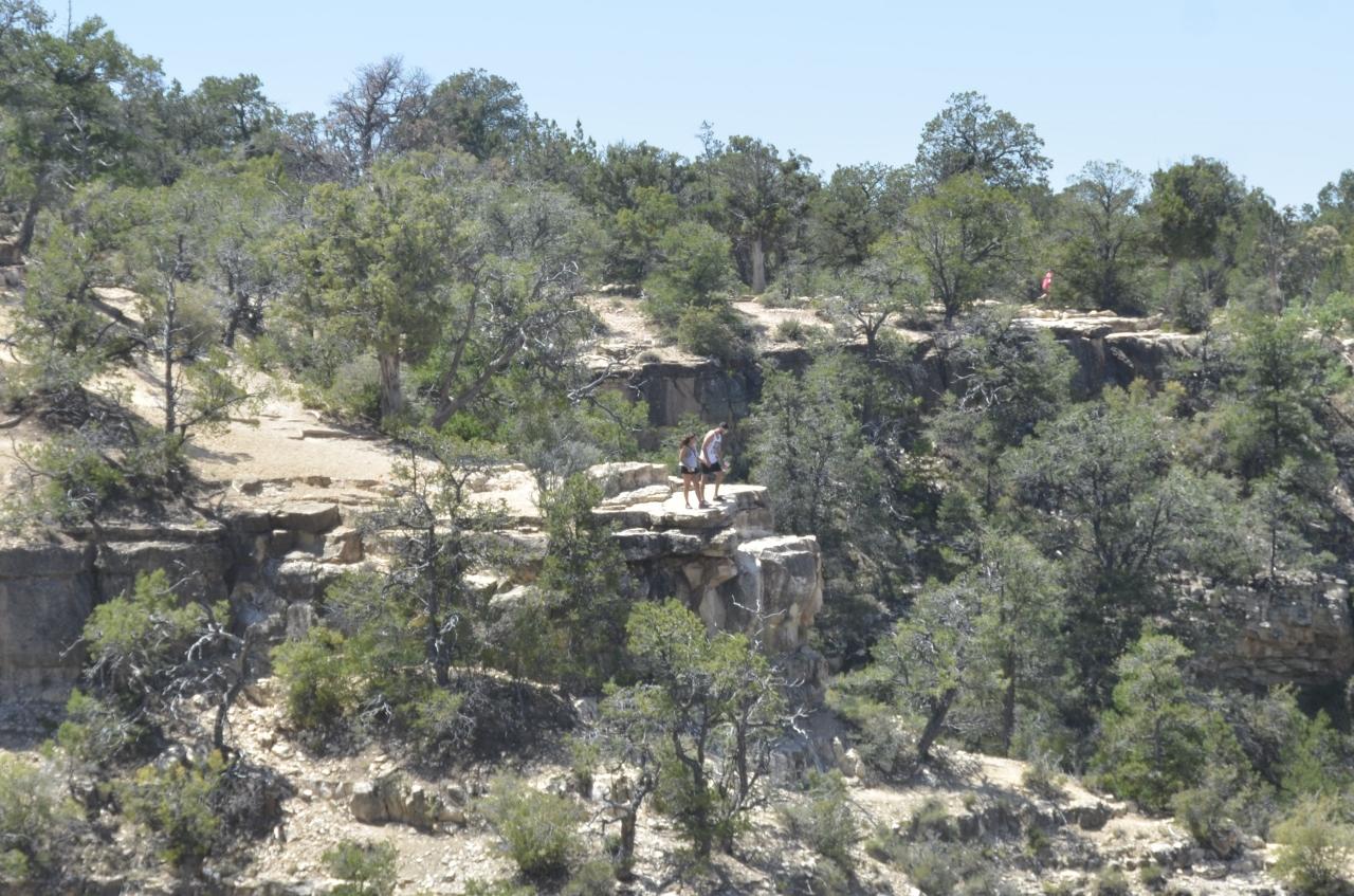 Grandeur and Desperation The Ripple Effects of Suicide in National