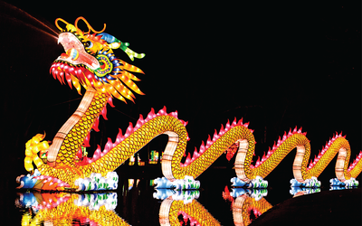 chinese lantern dragon