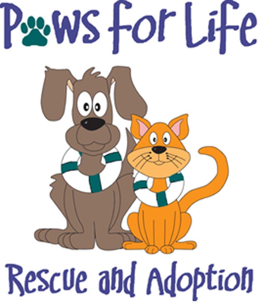 Paws For Life Fundraiser Saturday KPCW
