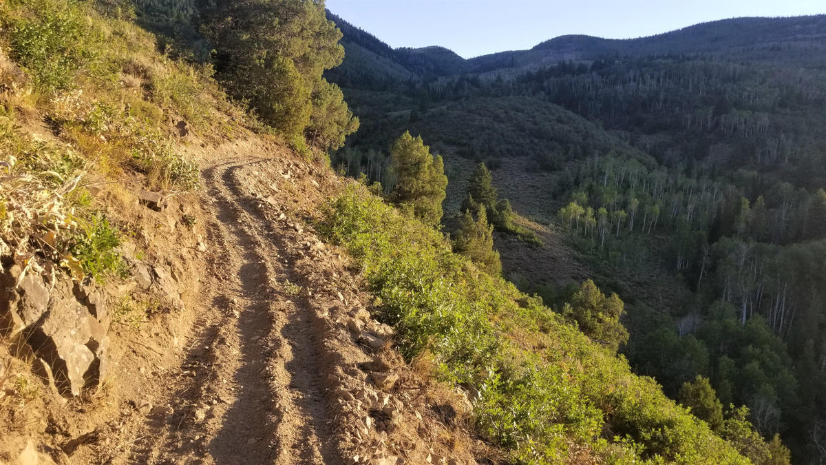 Mountain Bikingfocused Slate Creek Trail Opens in the Uintas on