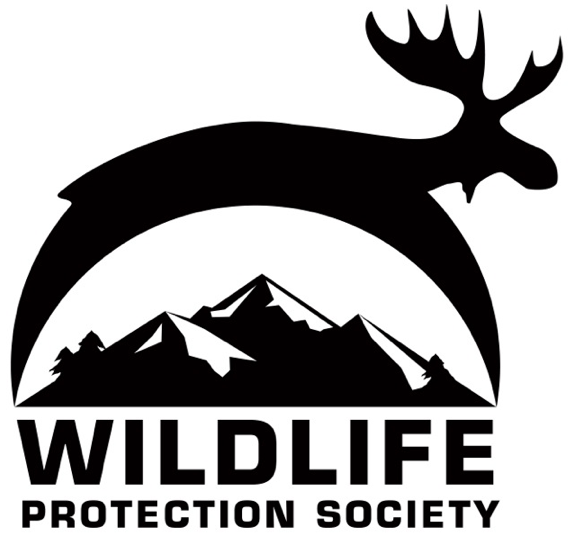 Wildlife protection 2005. Protect wildlife. Save animals картинки. Animal charity. Belette logo.