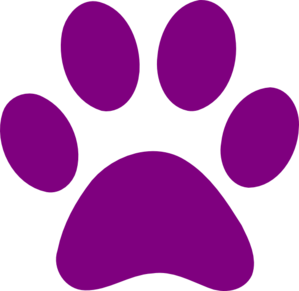 Purple Paws Asking Families To Foster Animals | KPCW