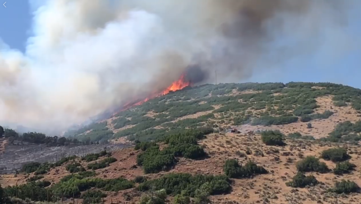Tollgate Canyon Fire Brings The Dangers Of Wildfires To Front Of County ...