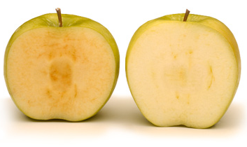 arctic_vs_conventional_cropped.png