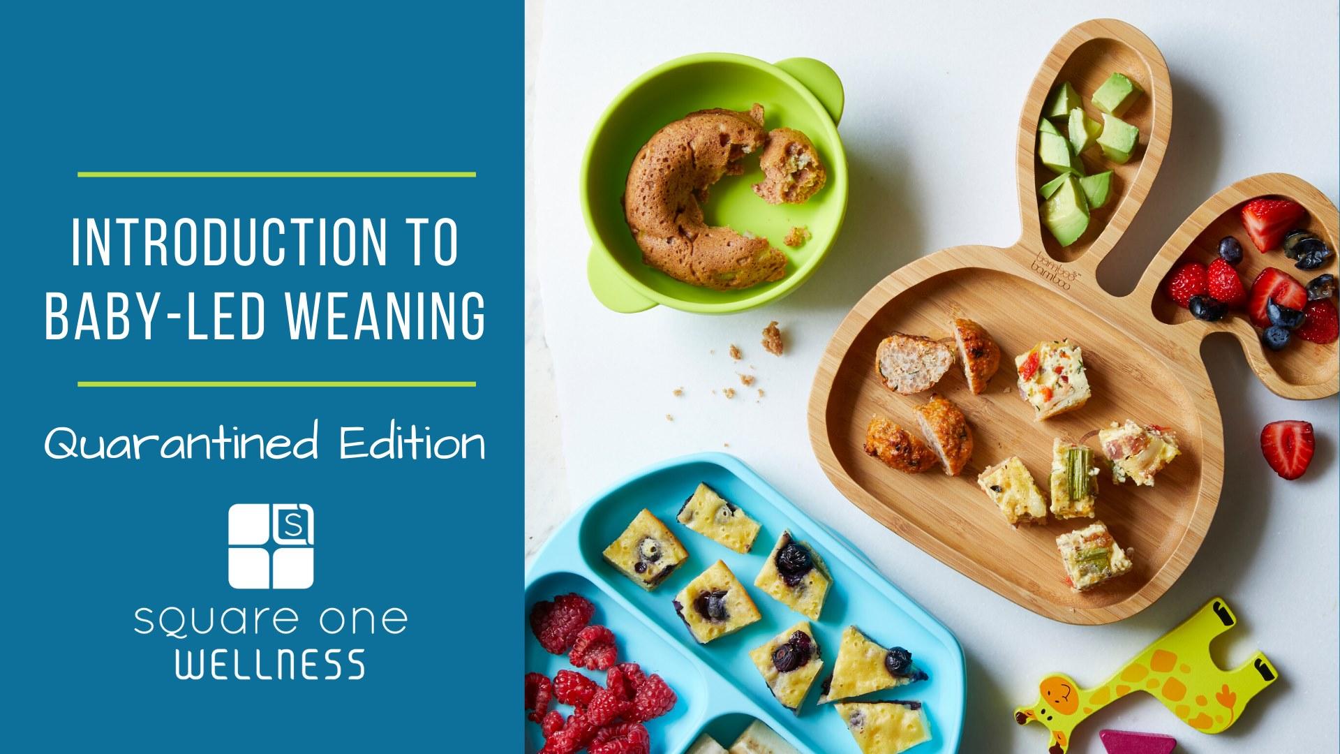 Saturday Apr 18 Introduction To Baby Led Weaning Course Square One Wellness Krcu