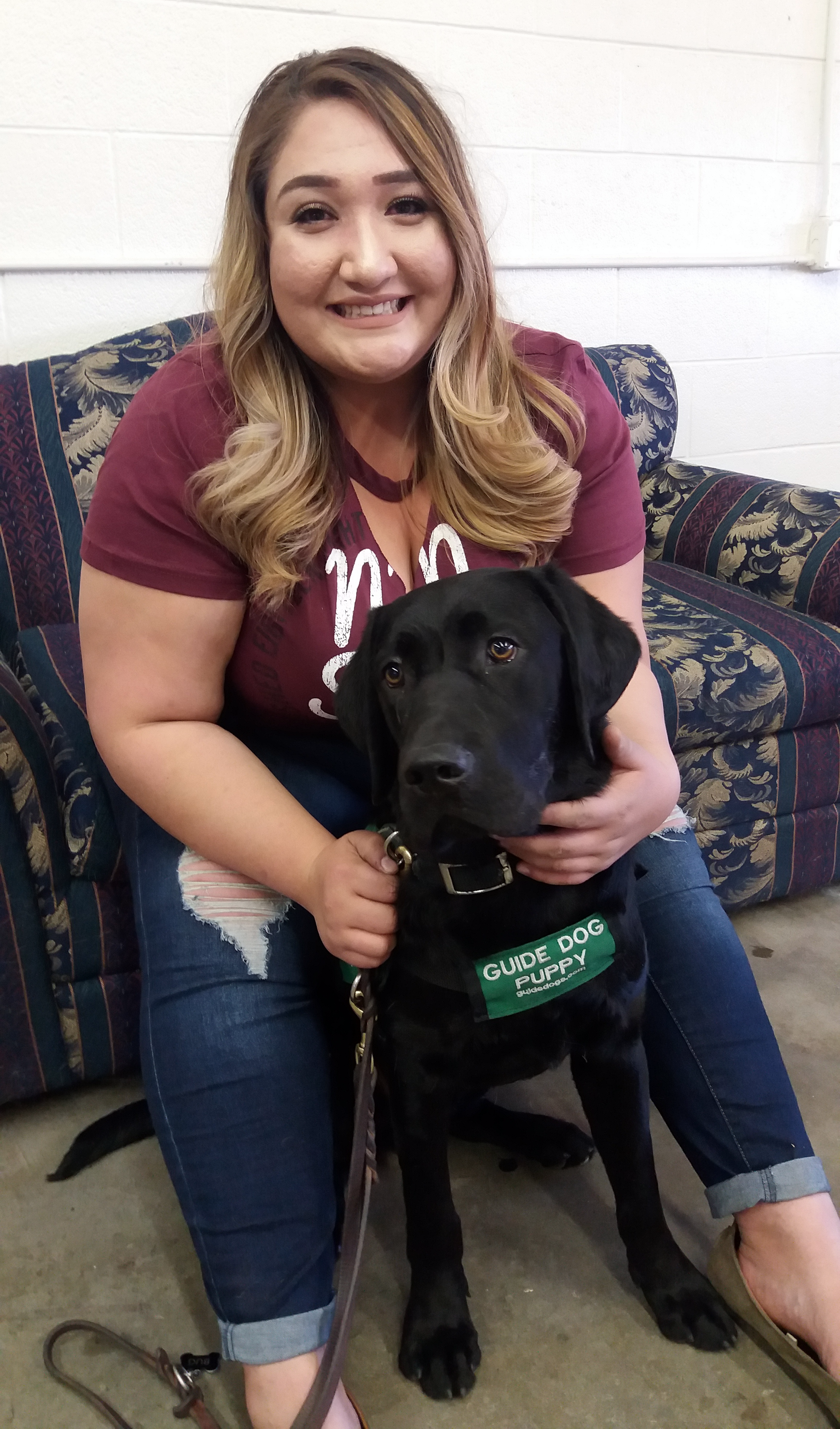 black lab training