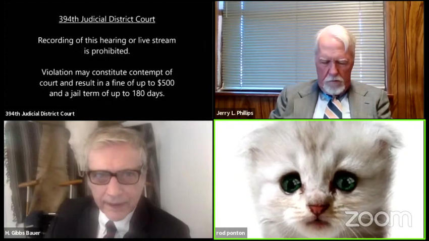 Woops! Texas Court Hearing Takes Detour When Attorney Zoom Filter Shows A Cat | KRWG