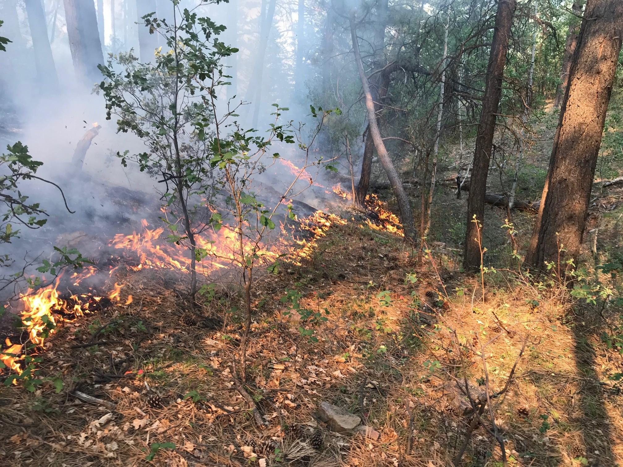 Plateau Fire Complex Tops 3,000 Acres During Burnouts | KSJD