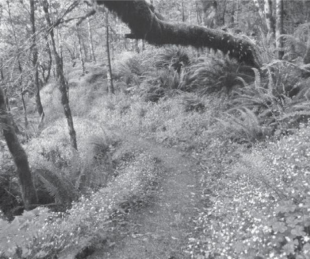 Finding Indian War Battlefields Of Southern Oregon Jefferson Public Radio