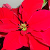 KPAC Holiday Programming