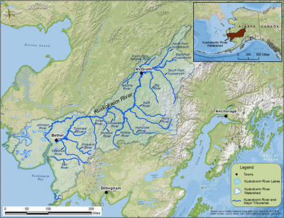 kuskokwim comanagement feds intertribal kuac