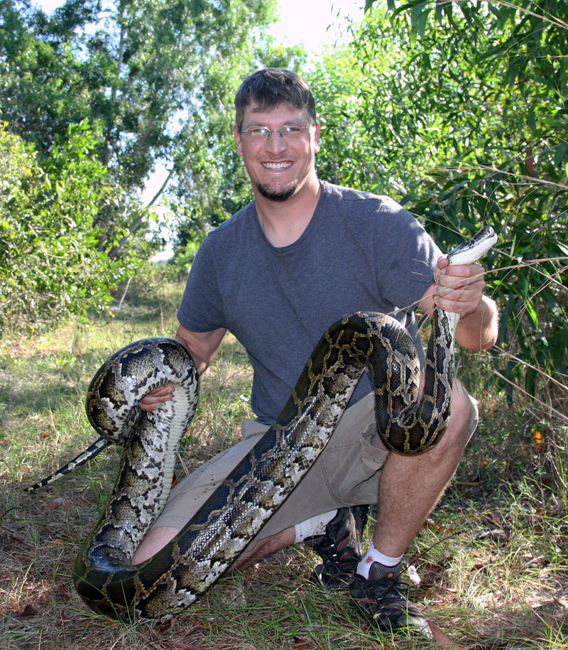 Studying the Impact of Invasive Pythons | KUAF