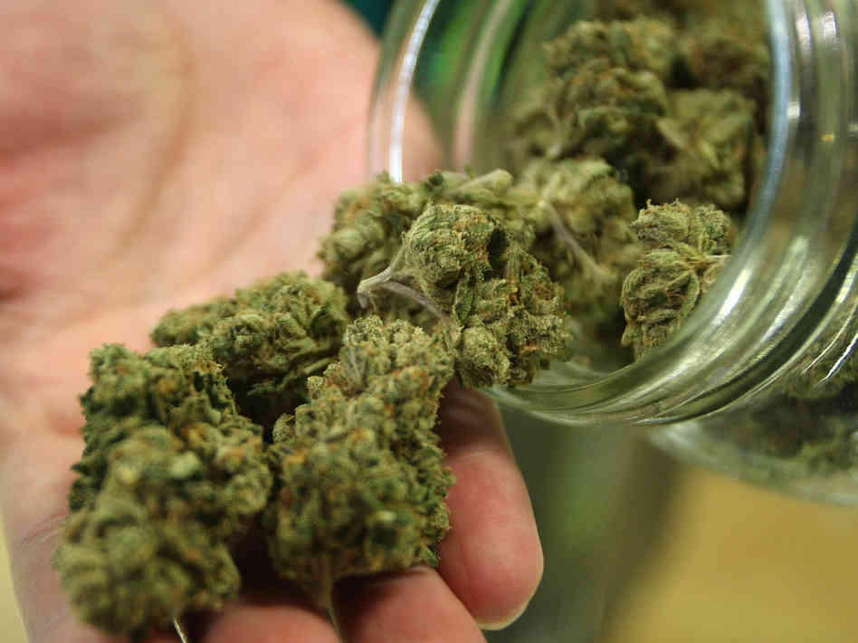 arkansas licenses first medical marijuana dispensary in the