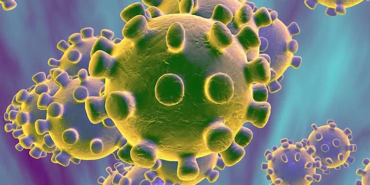 in arkansas districts schools with high numbers of infected
