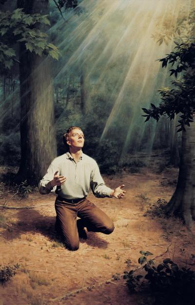 Mormon polygamy stories image