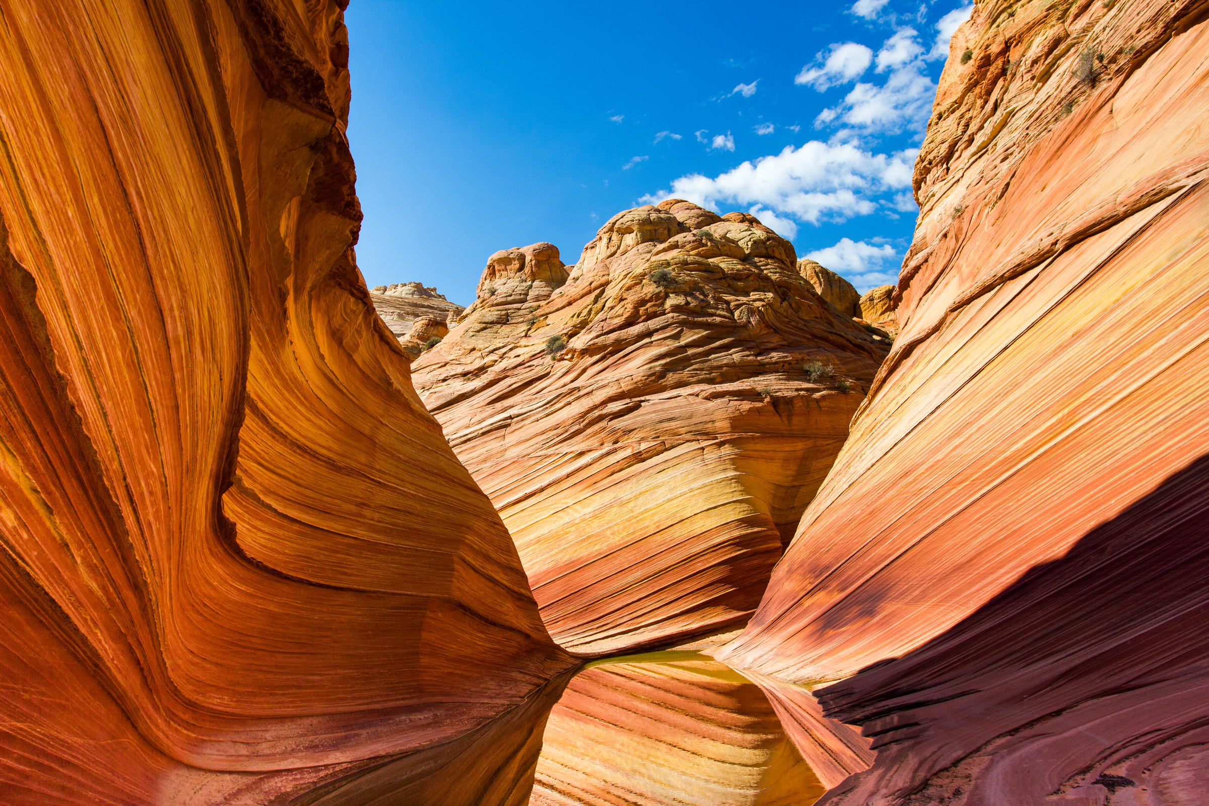 an image of "the wave" in northern arizona.