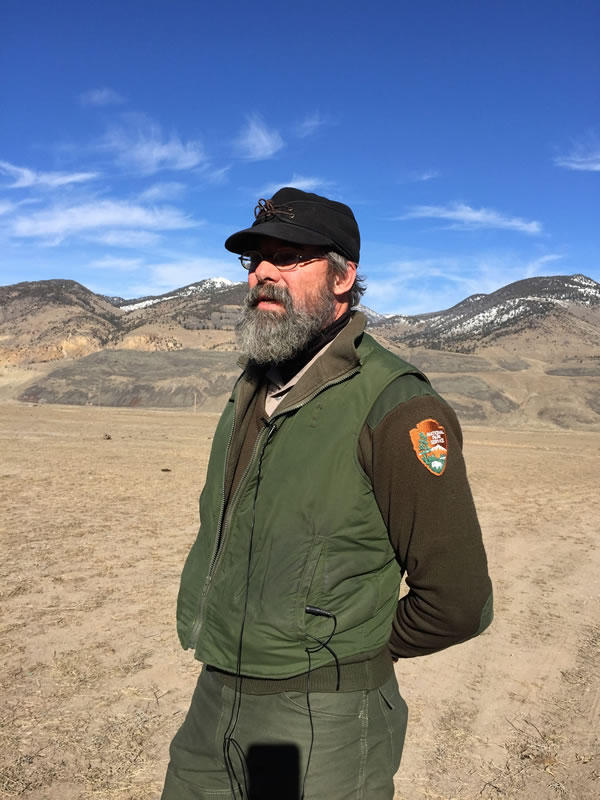 Weather Keeps Yellowstone Bison Harvest Numbers Below Target | MTPR