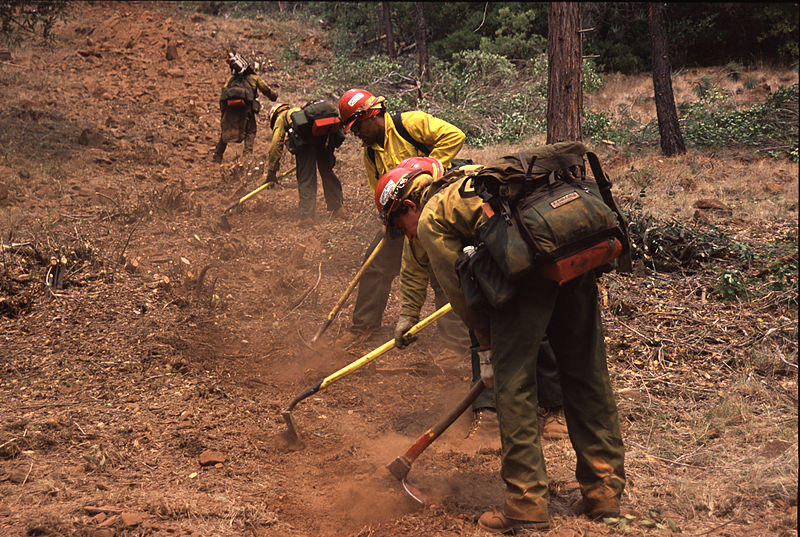 Wildfire Conditions In Northwest Montana Similar To Last Year – NFNews