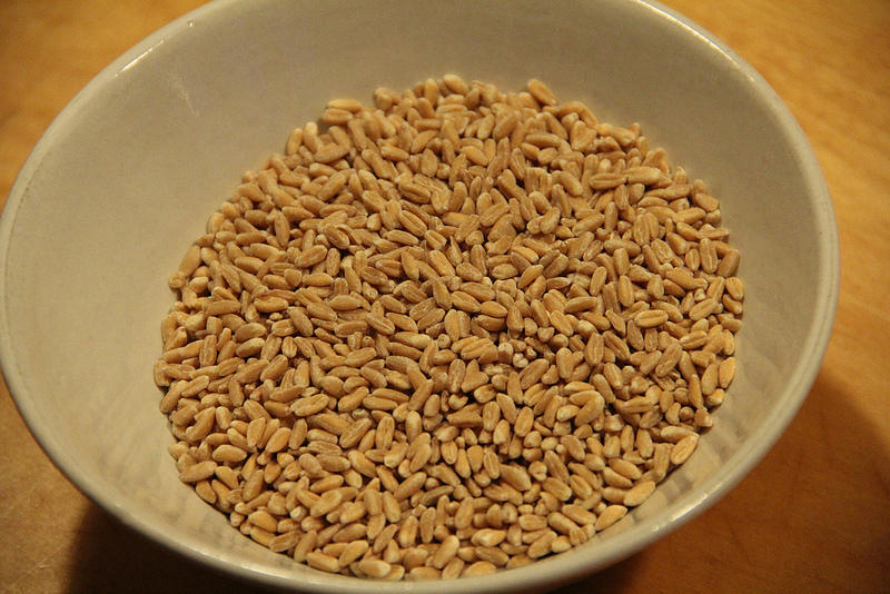 The Food Guys Talk Farro, The Ancient Grain MTPR