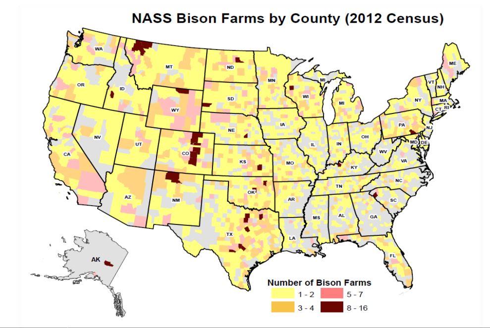 To Truly Bring Bison Back To The Plains, Ranchers Say We Must Eat Them ...