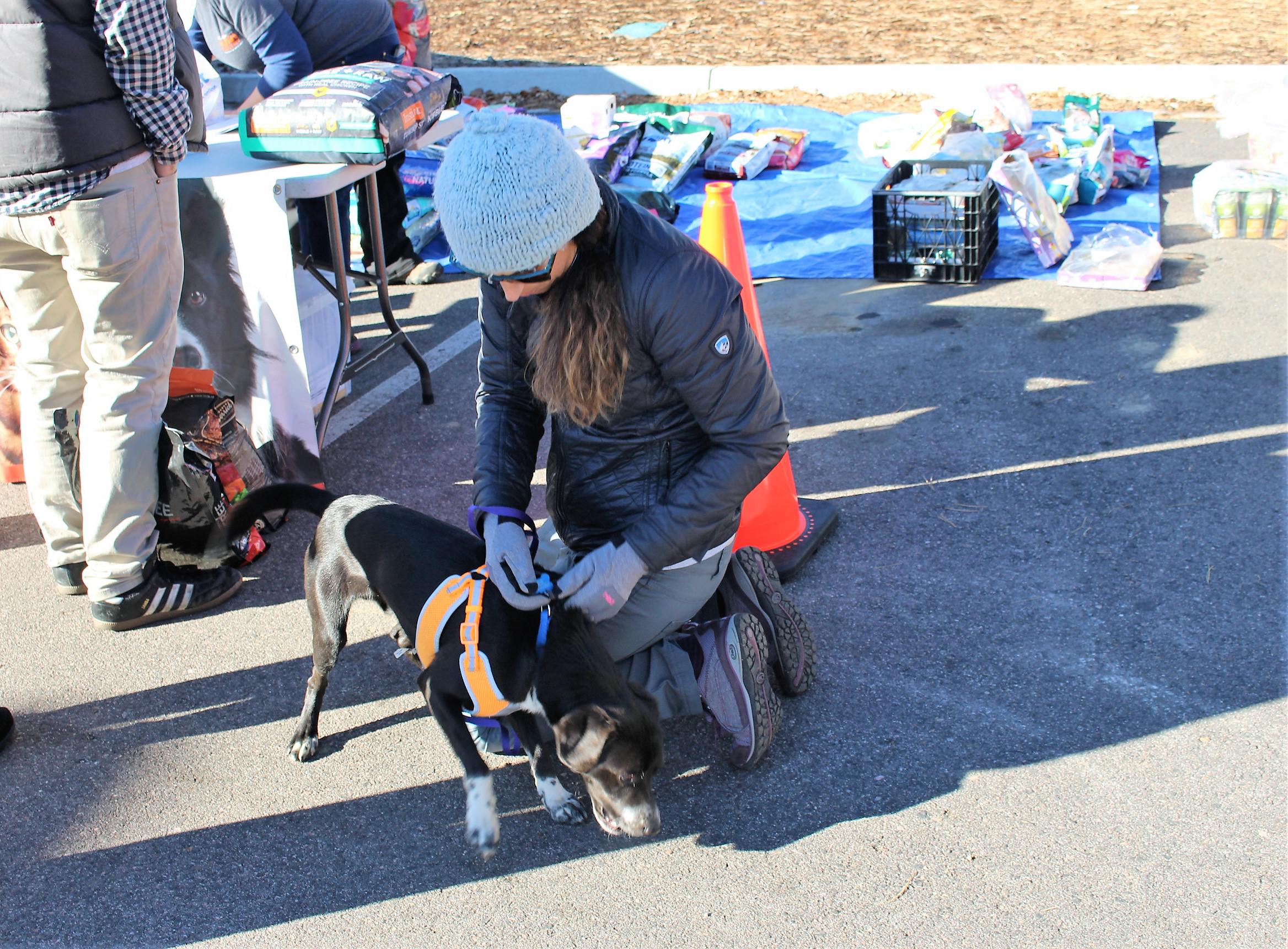 Colorado Pet Pantry Keeps Furry Family Members Fed Kunc