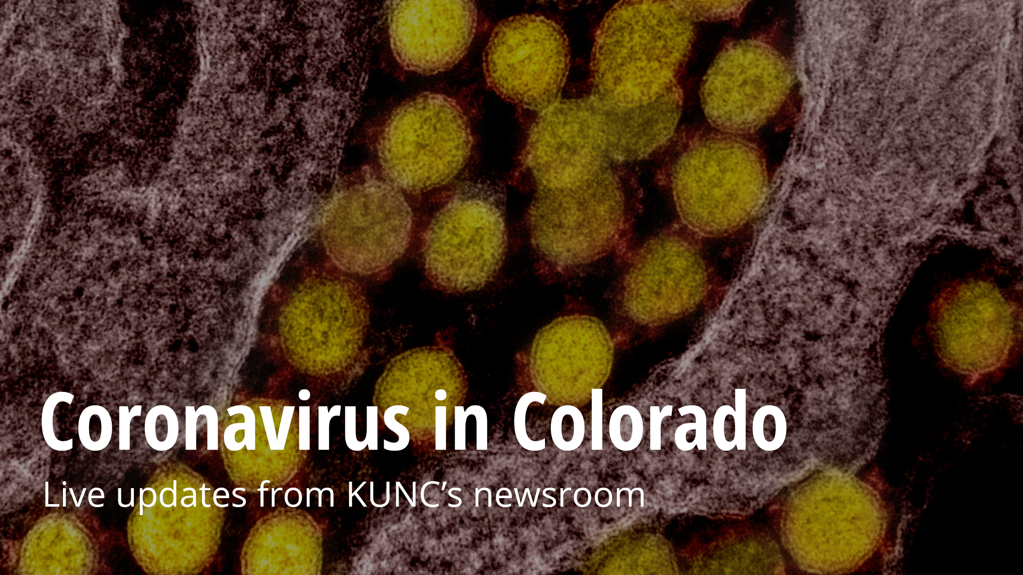Coronavirus In Colorado News And Resources Kunc