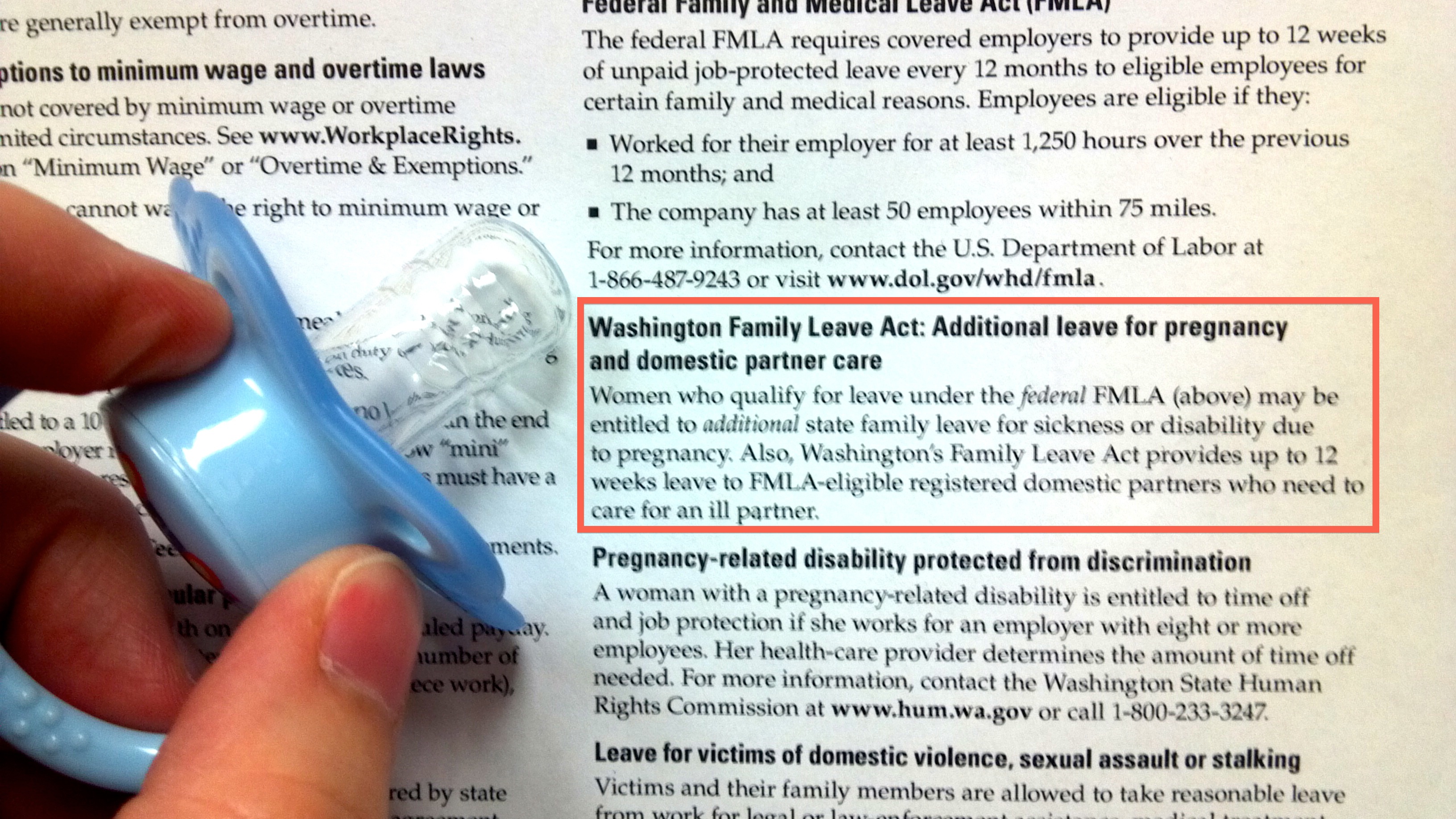 Pregnancy Disability Act PregnancyWalls