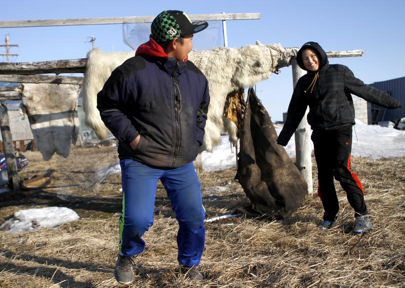Two teenagers in Kivalina, Alaska, play near a skinned polar bear. Scientists predict Kivalina, an Alaskan village, will be the first casualty of climate change and sea rising in the U.S.