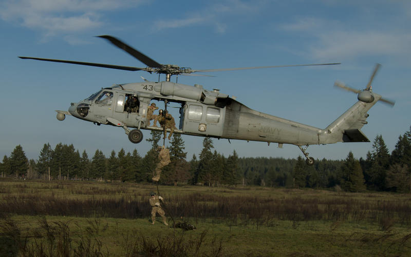 Soldiers perform fast rope insertion certifications at Joint Base Lewis-McChord in January 2015.