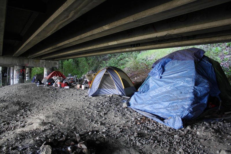 Tents lined up in the Jungle, which extends north and south under Seattle's Interstate 5 corridor.