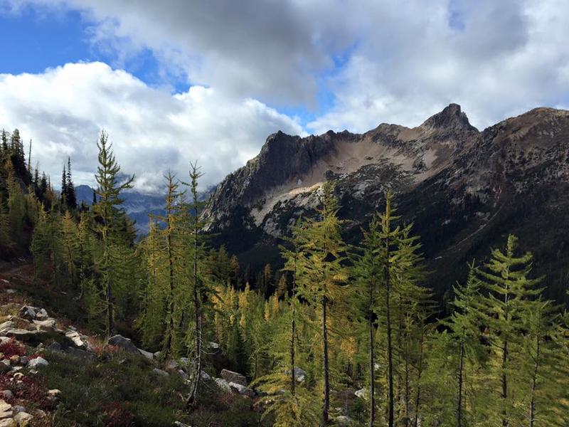 Larches, a staple of the North Cascades, are shown on the Pacifc Crest Trail near Cutthroat Pass.