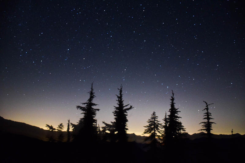 Perseid meteor shower at Mount Catherine off Snoqualmie Pass near Seattle.