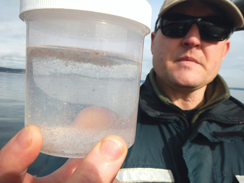 Nisqually tribe biologist Chris Ellings holds up a sample of plankton from Puget Sound.