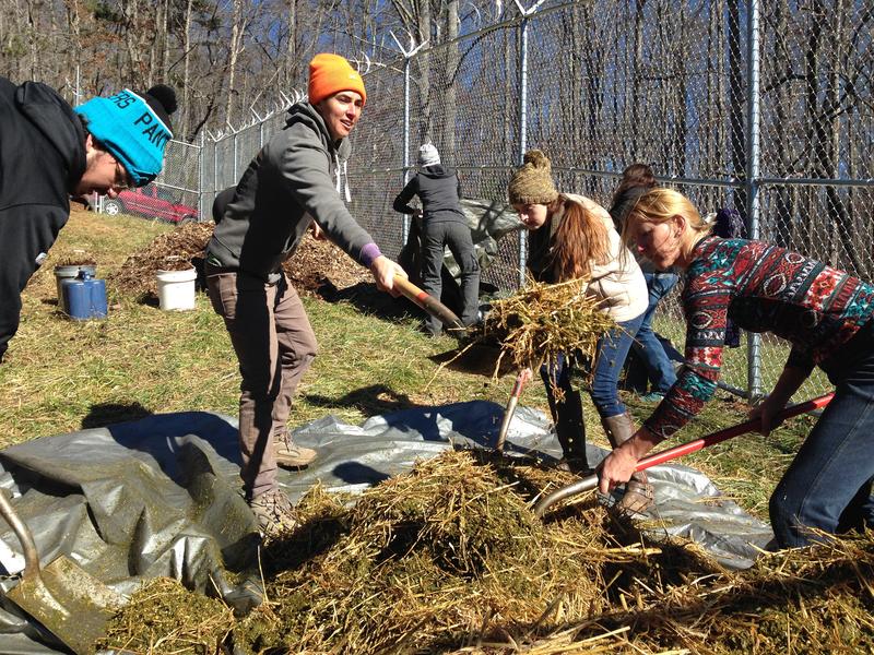 Katrina Spade (orange hat) of the Urban Death Project works with student volunteers to prepare a mulch pile at the Western Carolina University Forensic Osteology Research Center. (Tap on this image for more photos of the burial) 