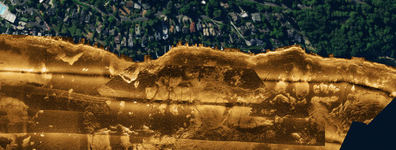 This image is a close up of the standing timber on the south end of Mercer Island.  The image is generated using a side scan sonar towed behind a boat about 20 feet off the bottom. The trees are visible mostly from the shadows they cast.