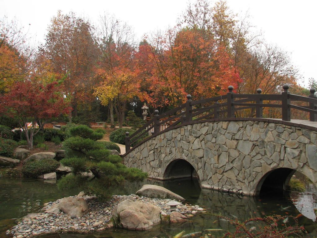 Japanese Fall Color Festival This Saturday At Woodward Park