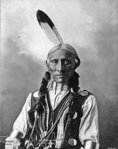 White Buffalo of the Omaha Chiefs | KWIT