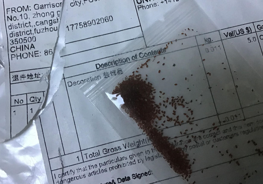 Government identifies some of the mysterious seeds posted from China