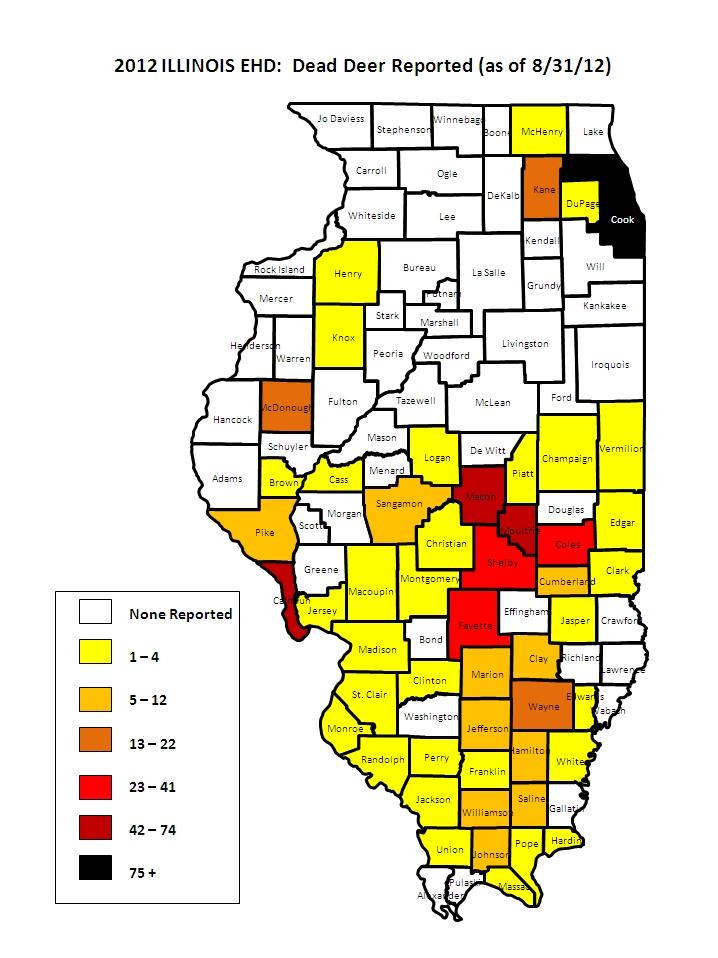 Drought fueling deer disease in Illinois, Midwest | St. Louis Public Radio