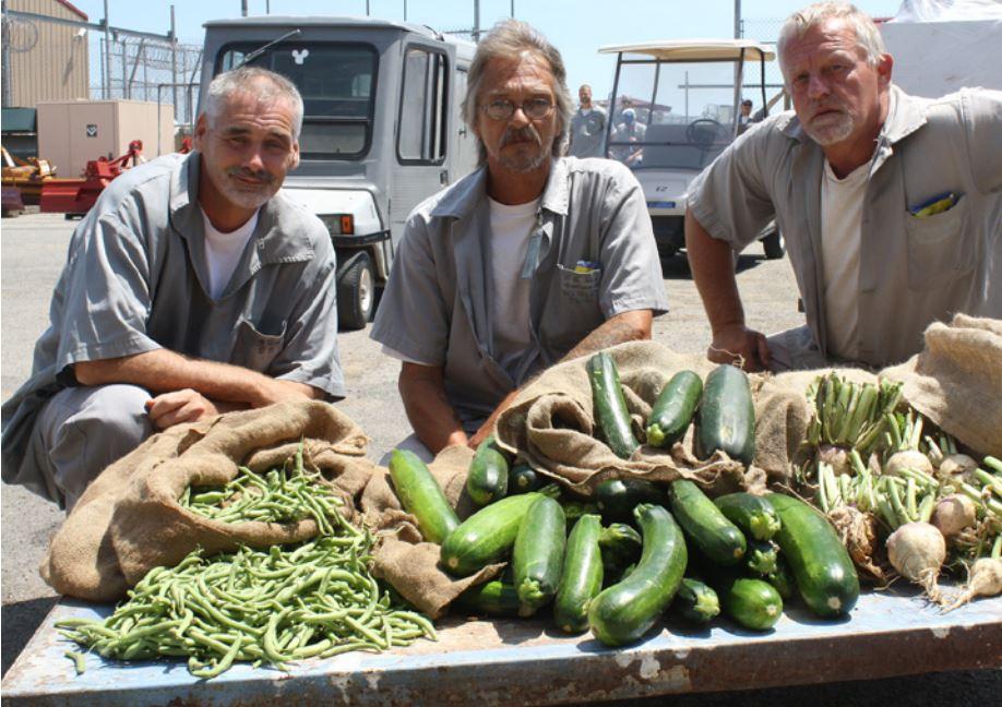 Missouri's Prison Garden Program Donates Record Haul Of Fresh Produce